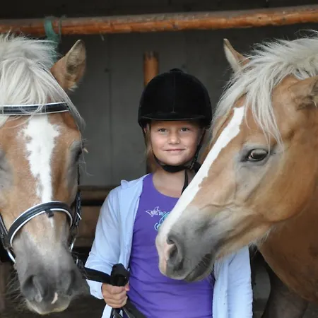 Σπίτι διακοπών Laerchenhuette Obergösel