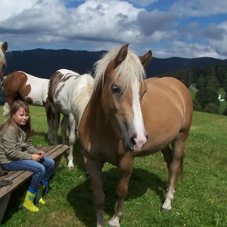 Laerchenhuette Obergösel