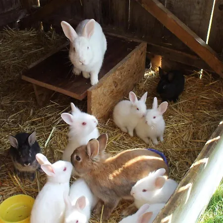 Laerchenhuette Σπίτι διακοπών *