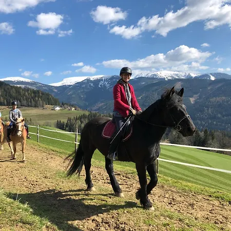 Laerchenhuette Σπίτι διακοπών Obergösel
