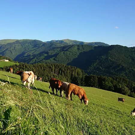 Laerchenhuette Obergösel