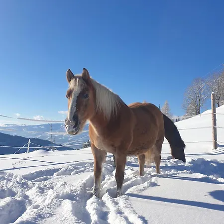 Laerchenhuette *