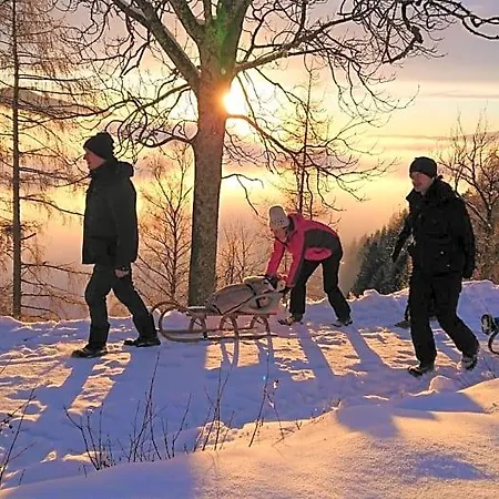 Lärchenhütte Ferienhaus