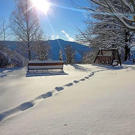 Lärchenhütte Ferienhaus Obergösel