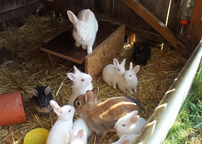 Laerchenhuette בית נופש *