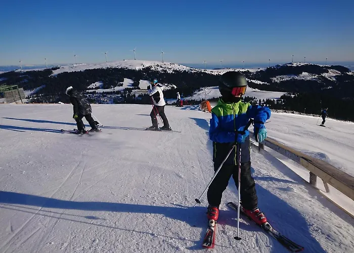 בית נופש Laerchenhuette