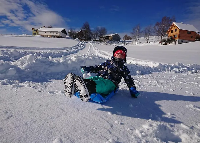 Laerchenhuette Obergösel