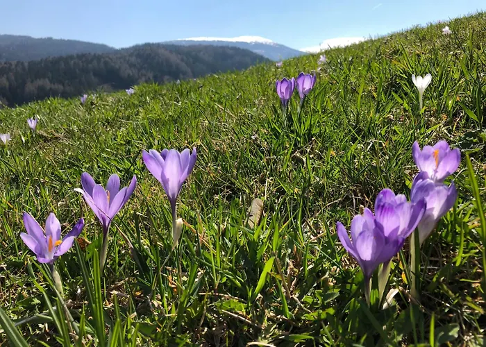 Laerchenhuette * Obergösel