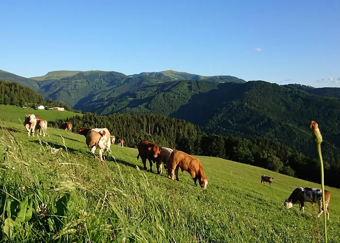 Laerchenhuette Obergösel